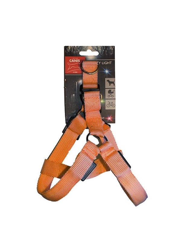 Active Canis Led light harness l orange