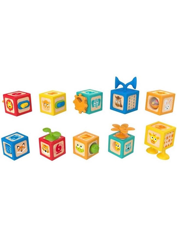 Hape Delightful Discovery Blocks