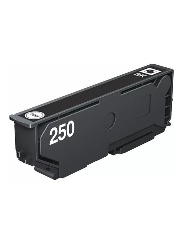 Epson 250 - black - original - ink cartridge