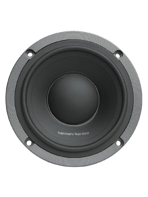 Harman Kardon FLOW 300S
