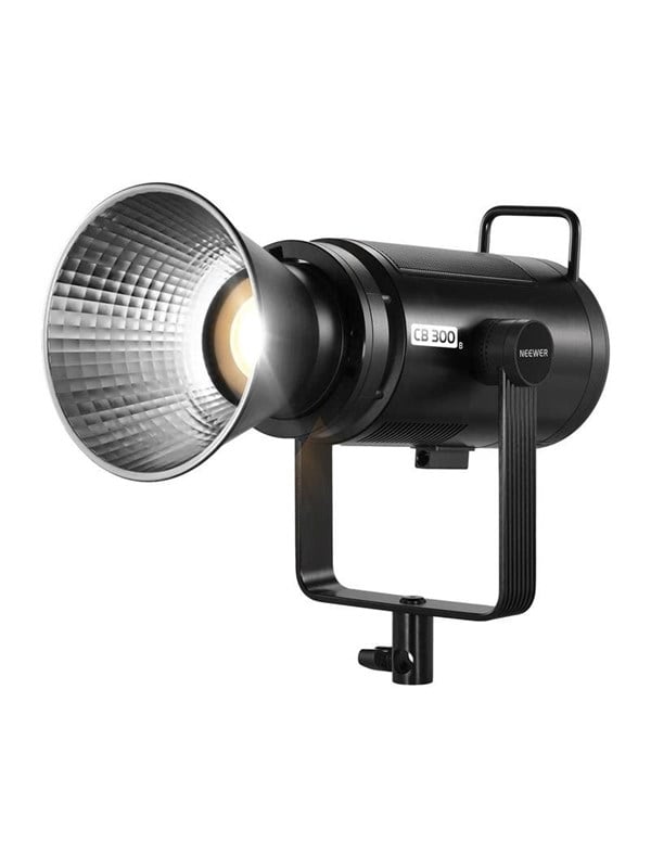 Neewer CB300B BiColor LED-lamp