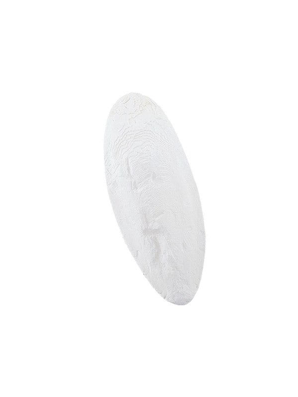 Nobby Sepiaskaller 1 15-20 cm 1 kg