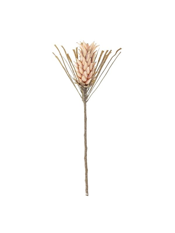 Bloomingville Palmflower rose