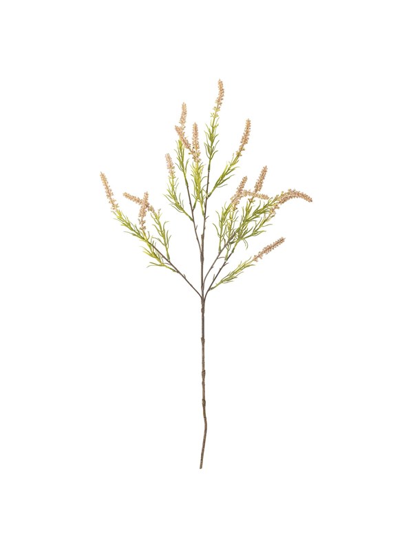 Bloomingville Foxtail