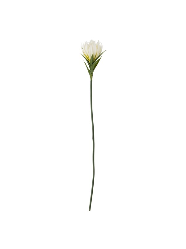 Bloomingville Lily