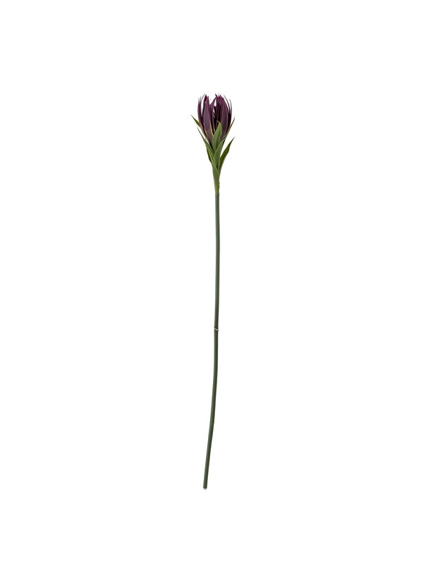 Bloomingville Lily