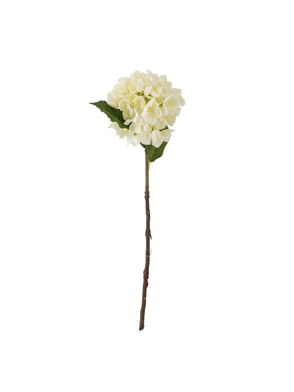 Bloomingville Hydrangea