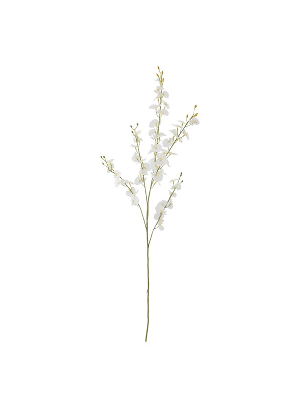 Bloomingville Orchid