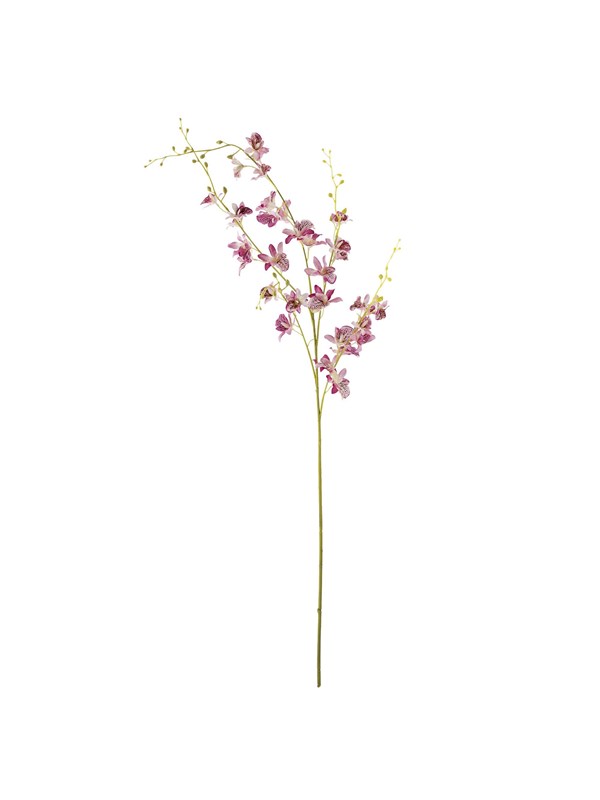 Bloomingville Orchid