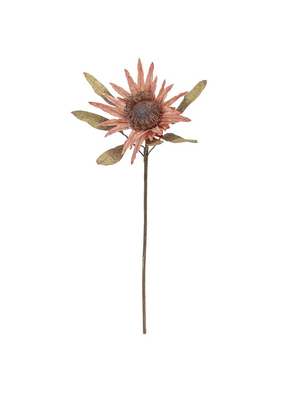 Bloomingville Protea