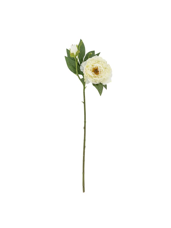 Bloomingville Peony