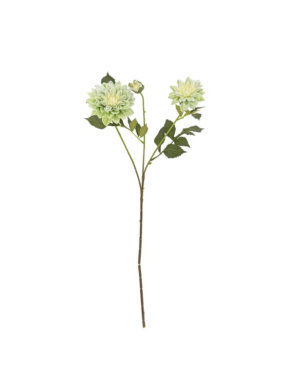 Bloomingville Chrysantemum
