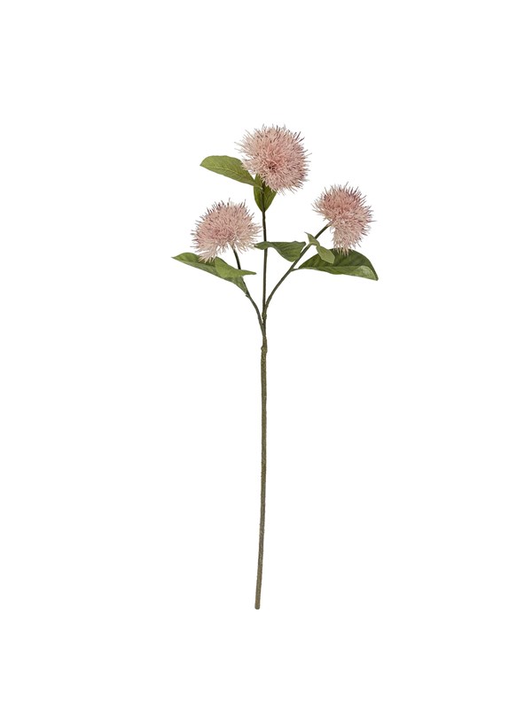 Bloomingville Chrysantemum