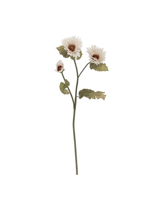 Bloomingville Chrysantemum
