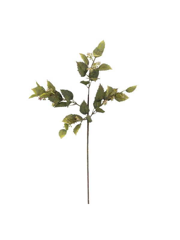 Bloomingville Eucalyptus