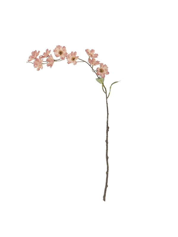 Bloomingville Wild Cherry
