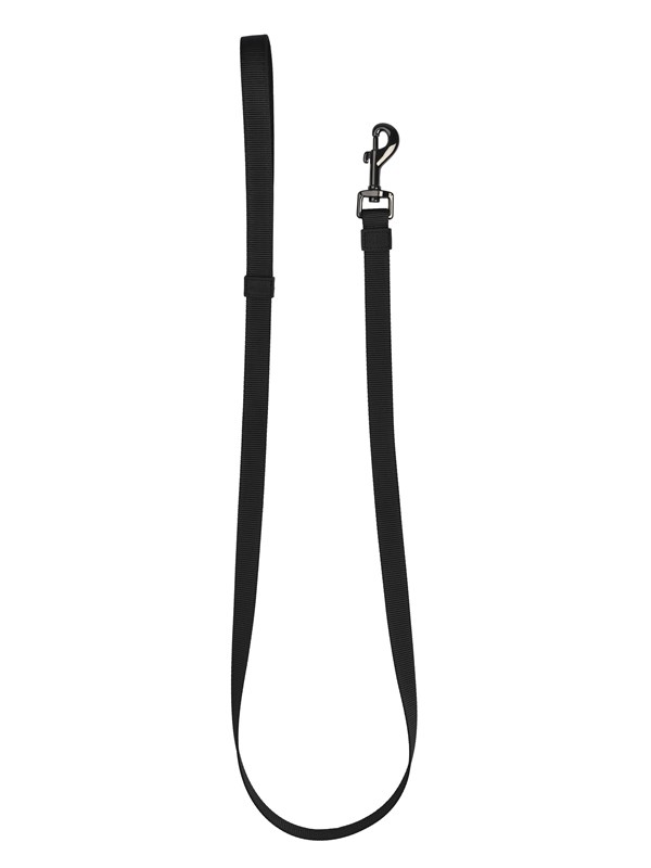 51 Degrees North - Wanderful - Leash - Nylon - Flat - Black - 150cmx12mm