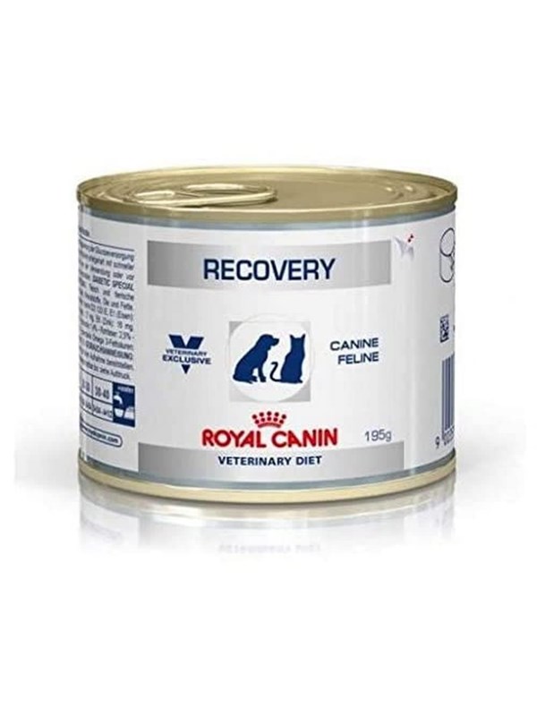 Royal VET CANINE RECOVERY Box of 12 x 195 g