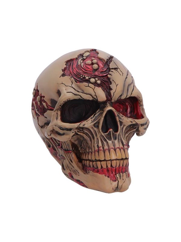 Nemesis Now - Nemesis - Hall Of Horrors - Zombie Skull