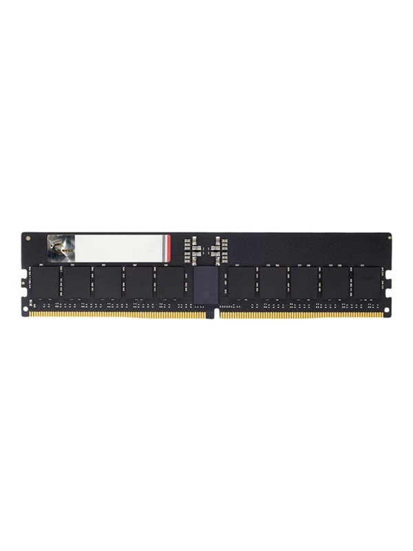 G.Skill G5 - DDR5 - module - 48 GB - DIMM 288-pin / PC5-44800 - registered