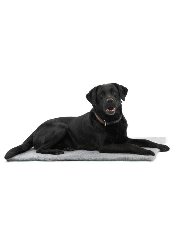 KRUUSE Vet Bed, grijs, 75 x 50 cm