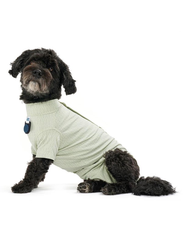 KRUUSE BUSTER Body Suit Step´n Go Voor Honden, XS, Dusty Gre