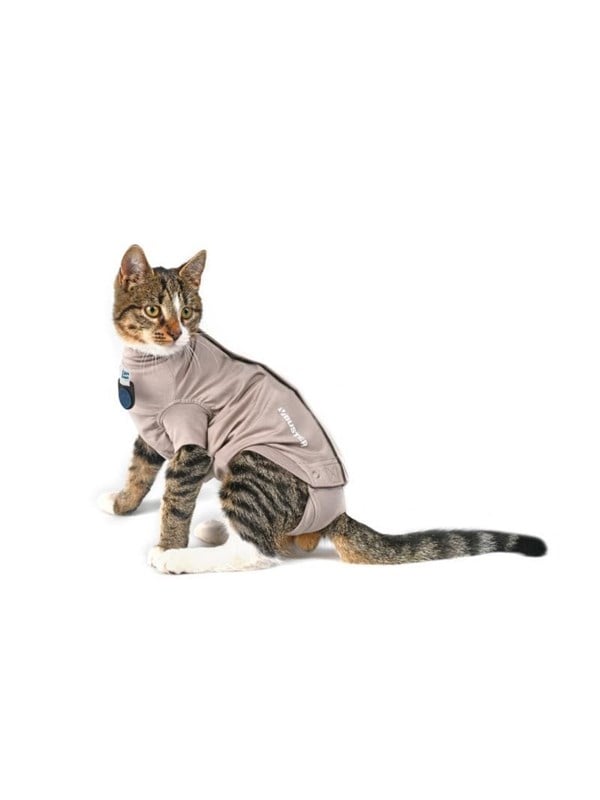 KRUUSE BUSTER Body Suit Step'n Go voor Kat, XXS