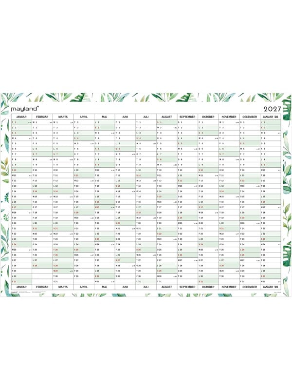 Mayland Kæmpekelander whiteboard 1x13 mdr. 2027