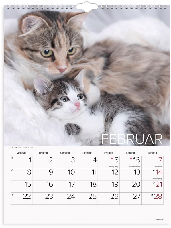 Mayland Vægkalender Katte 2027