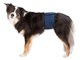 Honden - Trixie Washable Nappies for Male Dogs S-M Waist 37-45cm - TX23662