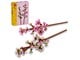 LEGO® - LEGO Botanicals 40725 Kersenbloesems - 40725
