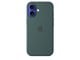 Mobiel - Covers & Cases - Apple iPhone 16 Silicone Case with MagSafe - Lake Green - MYY83ZM/A