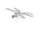 570064