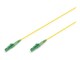 DK-2933-10-APC-SX