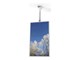 CC5500-5201-01