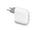 Mobiel - Adapters & Opladers - Google 67W Pixel Flex Dual Port USB-C Fast Charger - GA09856-EU