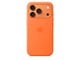 Mobiel - Covers & Cases - Apple iPhone 17 Pro Silicone Case with MagSafe – Orange - MGFE4ZM/A