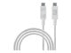 USBDATA31C2C1MW