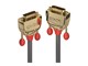 36202