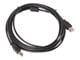 CA-USBA-11CC-0030-BK