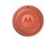 Mobiel - Overige accessoires - Motorola moto tag 2 - PANTONE Arabesque (1x) - PG38C08027