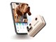 WH287307WNOSIM