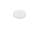 Shelly_Flood_S_Gen4