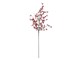 82072348