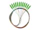 FP-SCAP-SS21-1202-MC