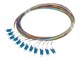 FP-LCUP-SS21-1202-MC