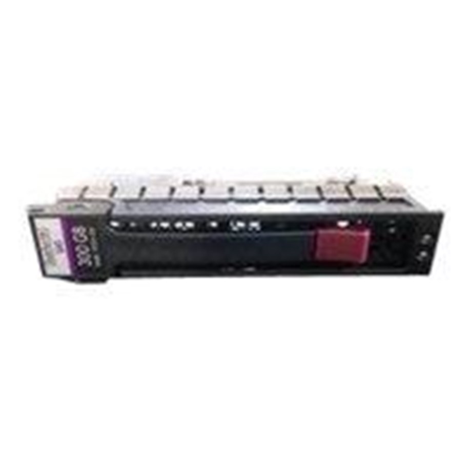 Harde schijf - HP E Dual Port Enterprise - 300GB - Harde schijf - 737571-001 - SAS3 - 3.5" LFF - 737571-001