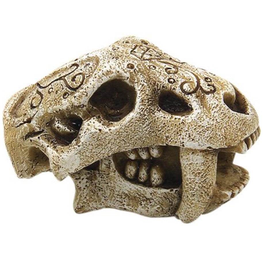 Vissen - 4FISH Skull 7.5x4.2x4.2 cm - AT47389