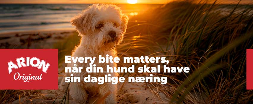 Arion-Original-hond producten