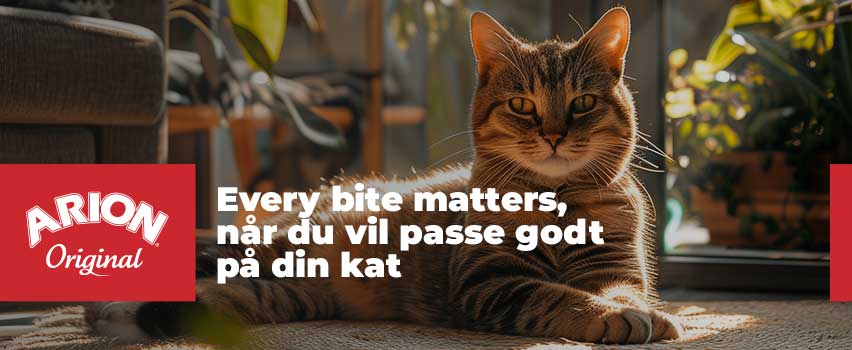 Arion-Original-kat productenr